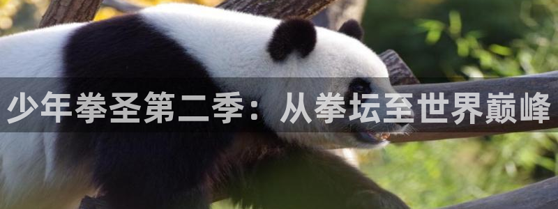 漫漫漫画网
